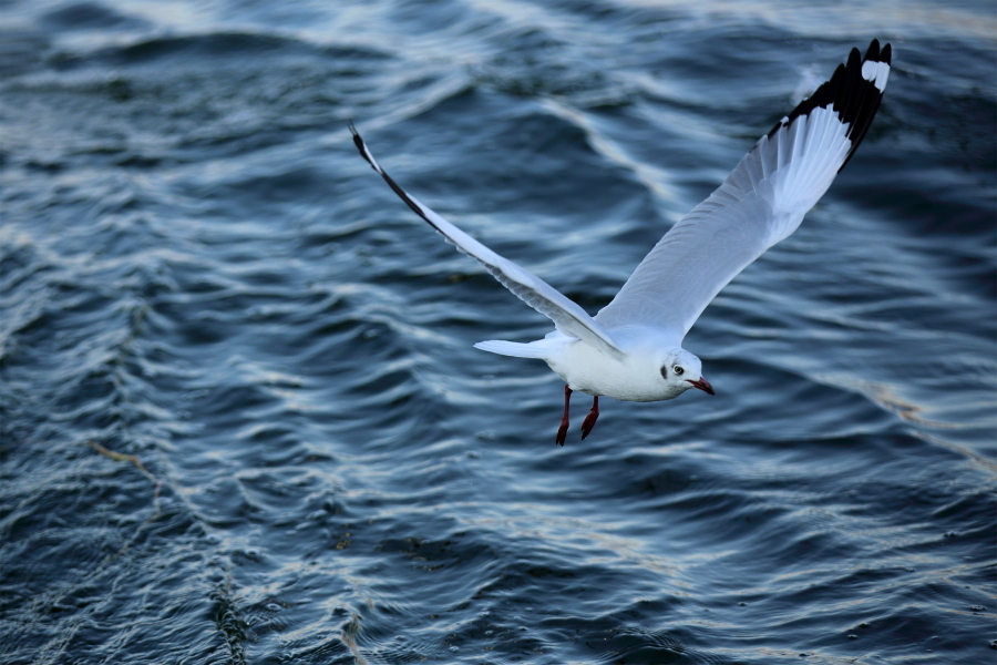 一个人带小孩真的很累，妈妈们看完这些也许你就治愈了