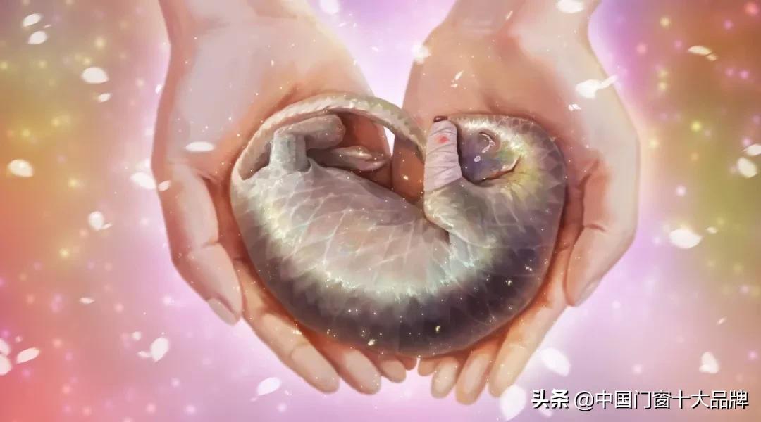 李时珍未解之谜,李时珍历史记载