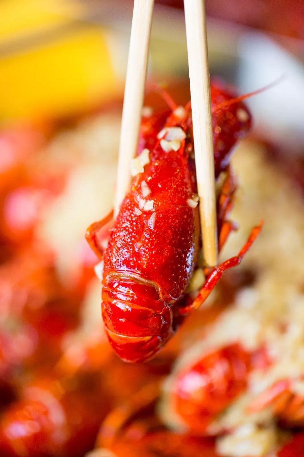 半个娱乐圈都打卡的眼镜小腰在簋街开店了！竟然3天五折！