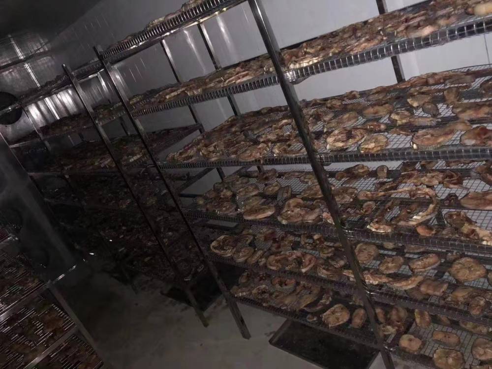 肉类专用烘干机大型,节能肉类烘干机