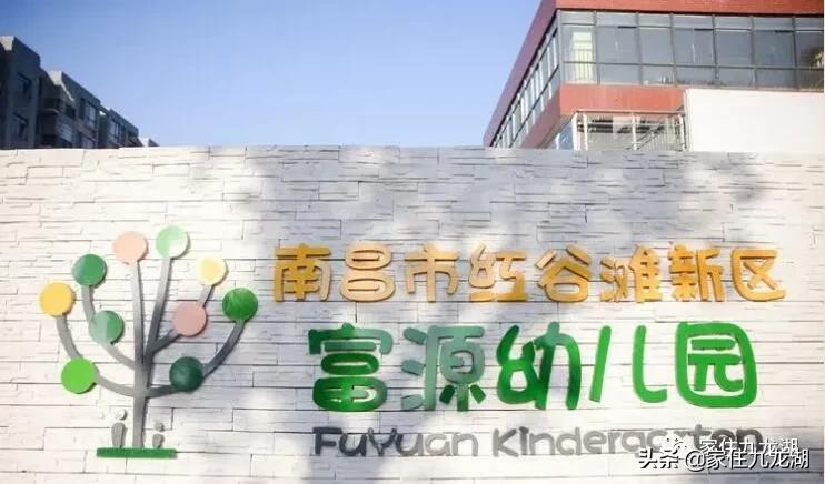 九龙湖有私立幼儿园,九龙湖什么幼儿园最好