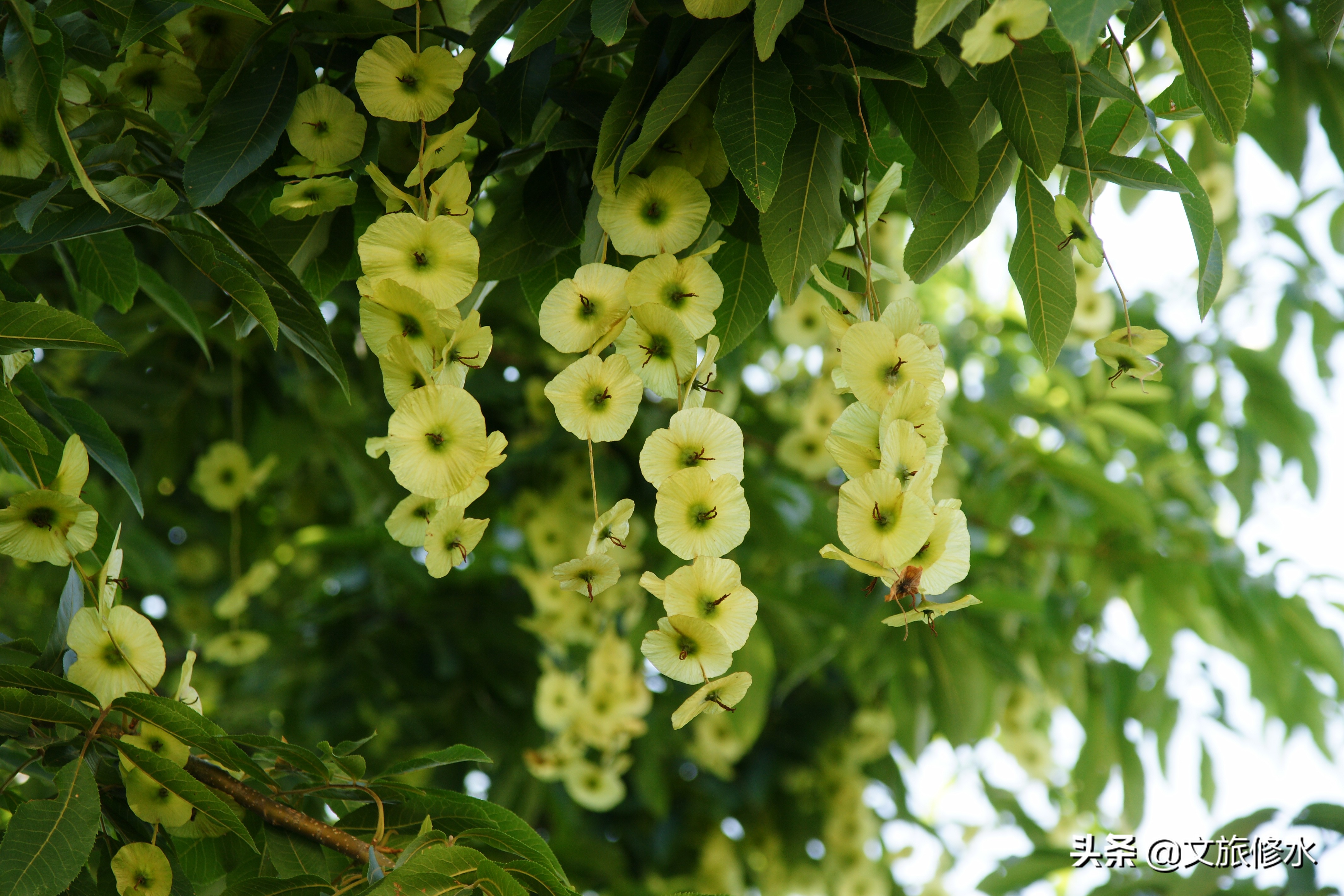 江西省最大县是哪里,江西省最大的十个县