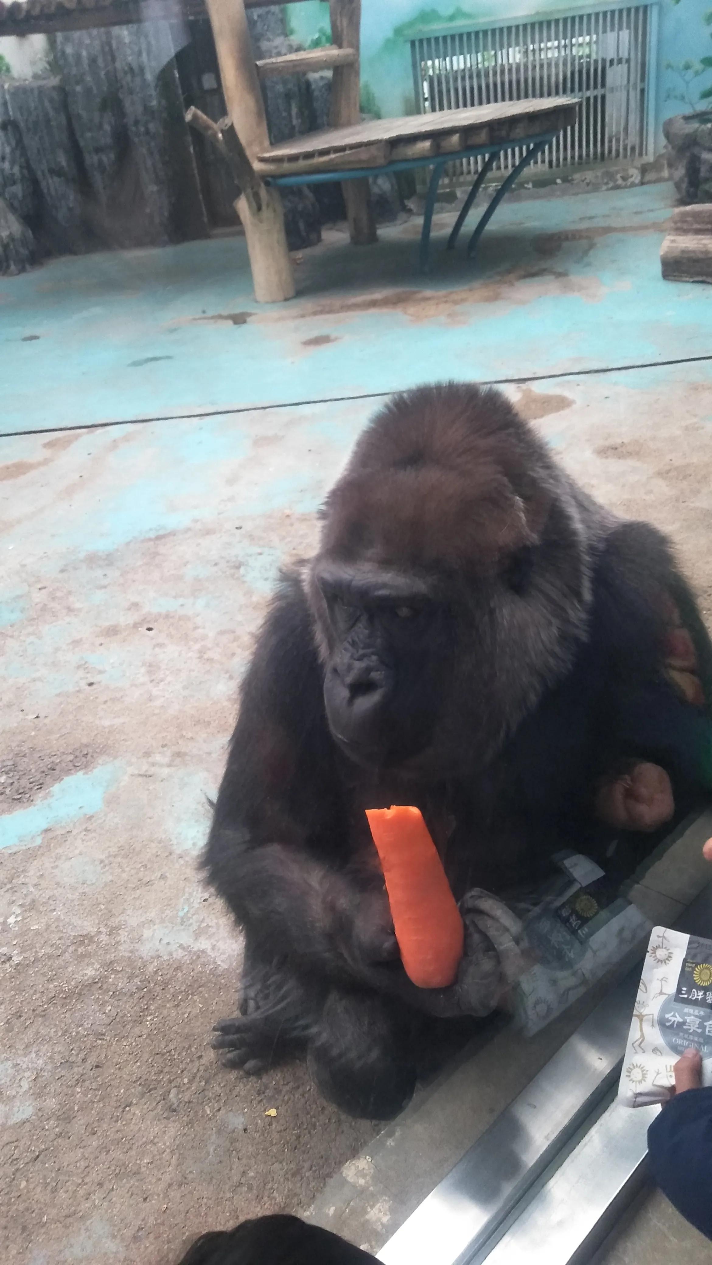 关于竞彩足球盘口