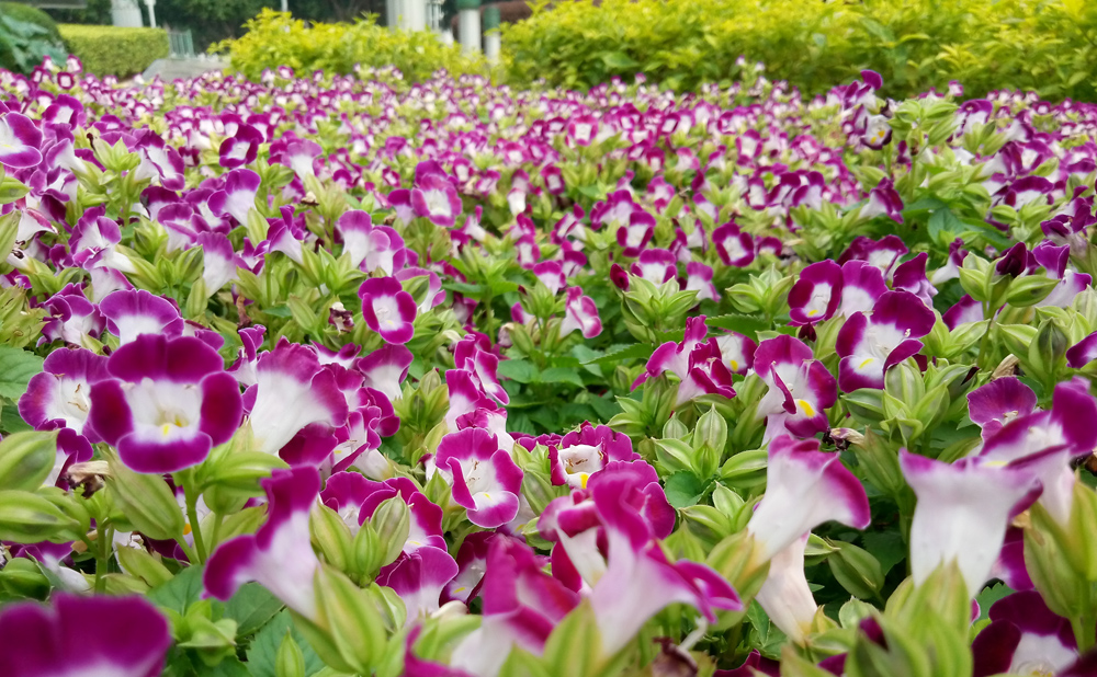 魅族魅蓝e测试视频,魅族魅蓝e系列手机怎么样