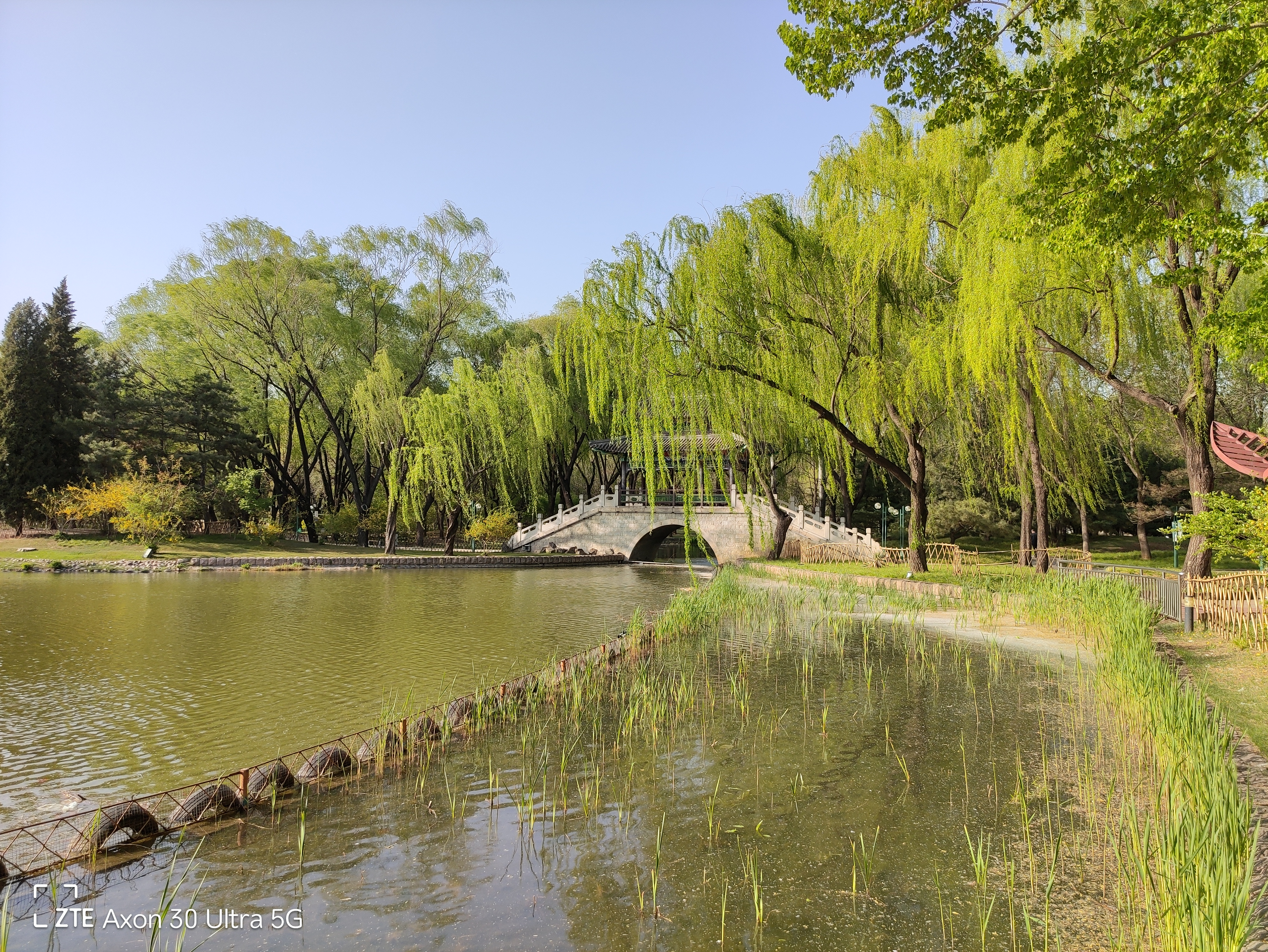 中兴axon30pro测评小白测评,中兴axon30ultra三千新机能入手吗