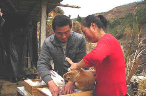 2019年让农民闲不下来的6个创业!