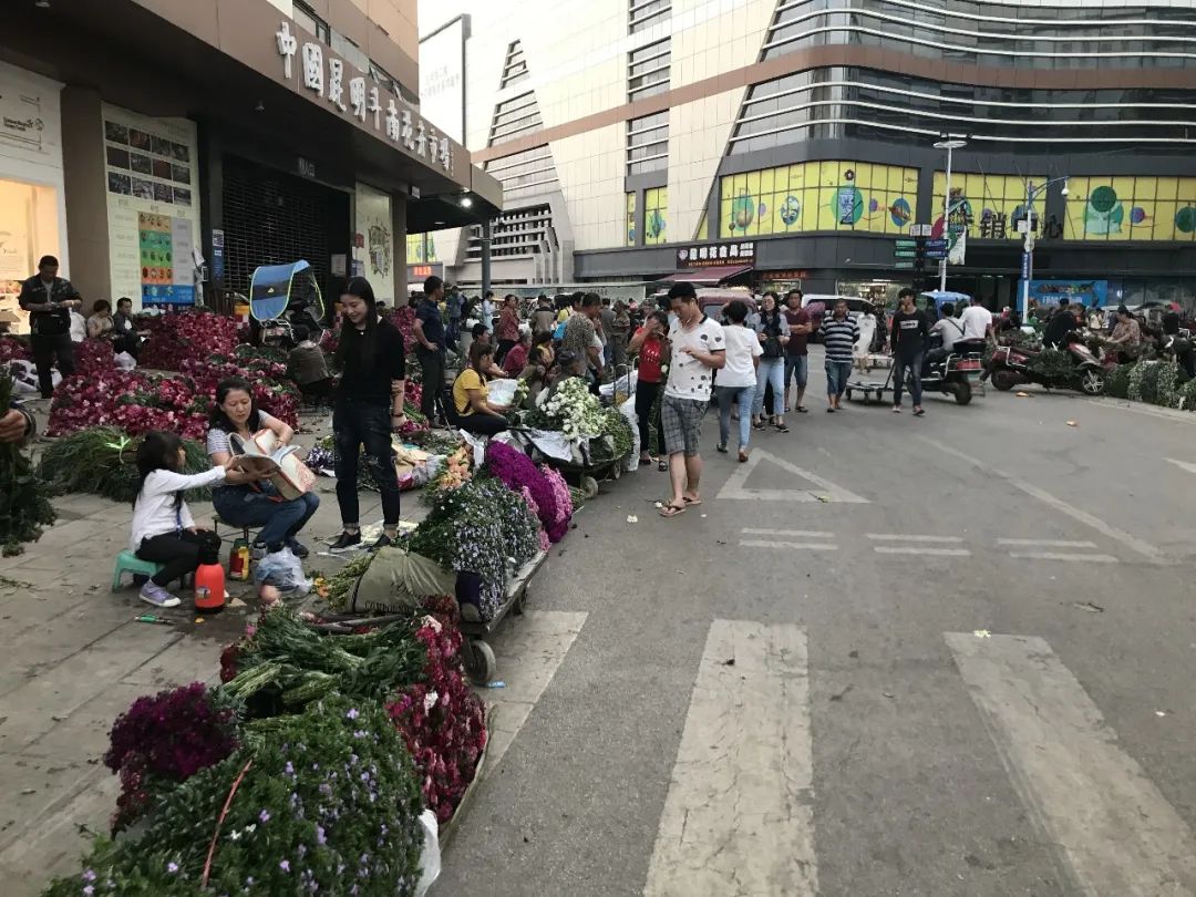 花店鲜花价格表大全,花店鲜花种类及价格表