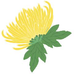 东升高沙幼儿园趣味运动会,南鹰幼儿园趣味运动会