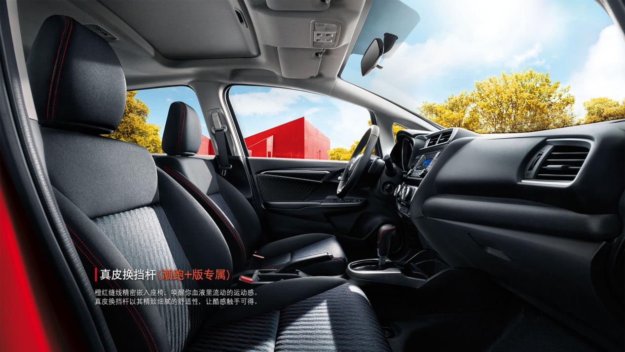 纯燃油最省油的车是哪一款,5款公认最省油家用车