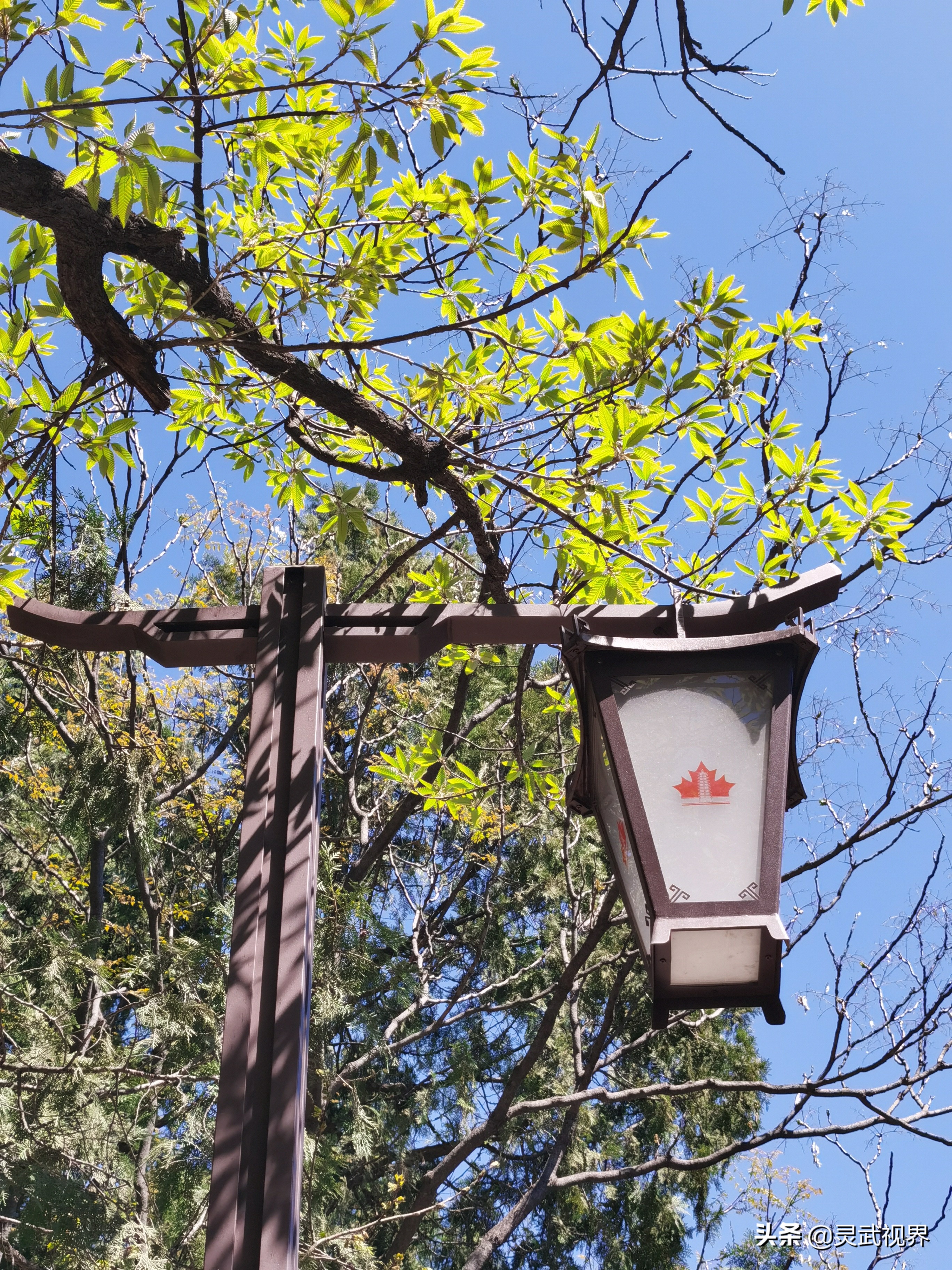 带你看看不一样的装饰,带你看看不一样的家