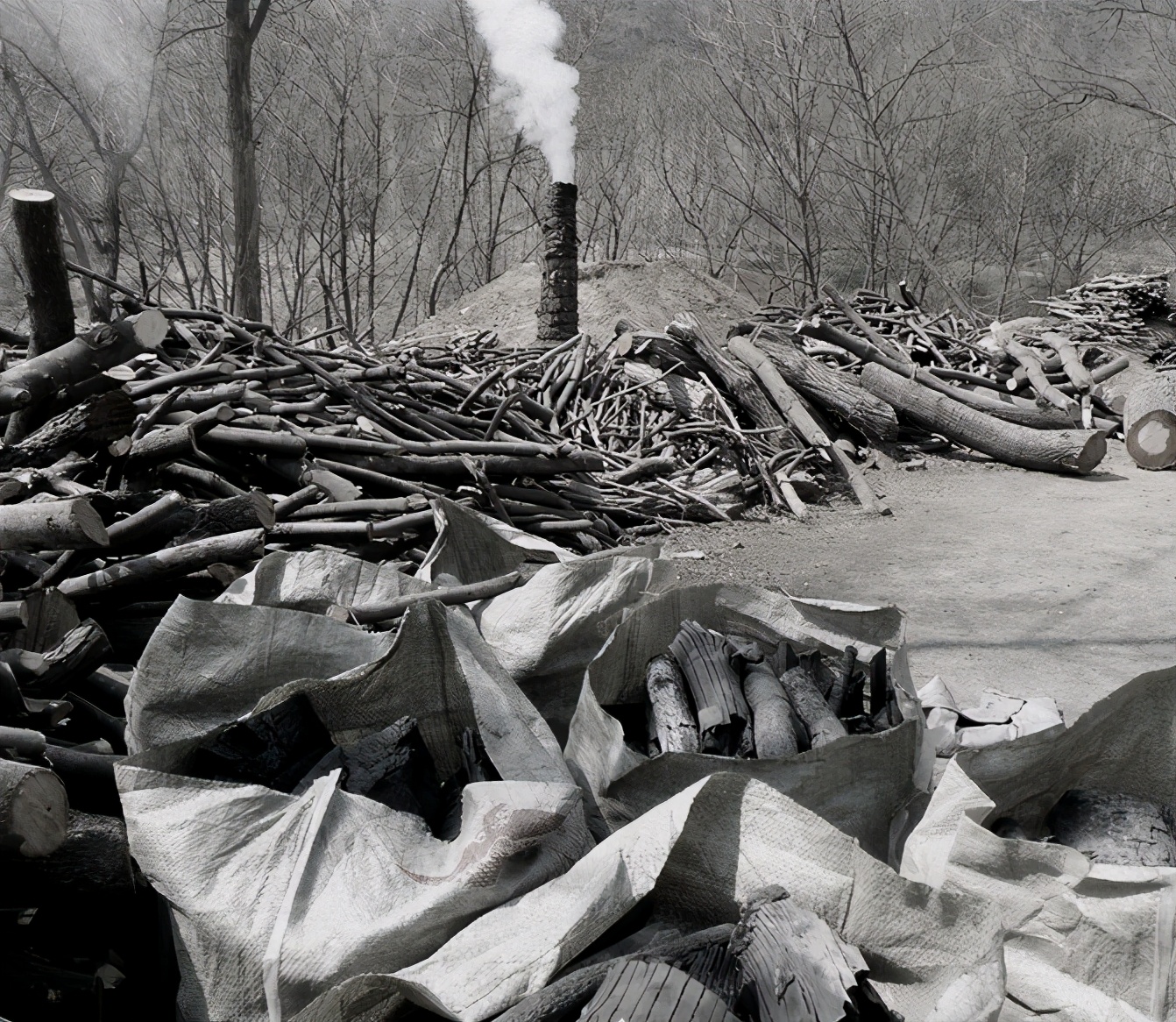 乡土散文岁月深处的老街,乡土散文铁匠世家