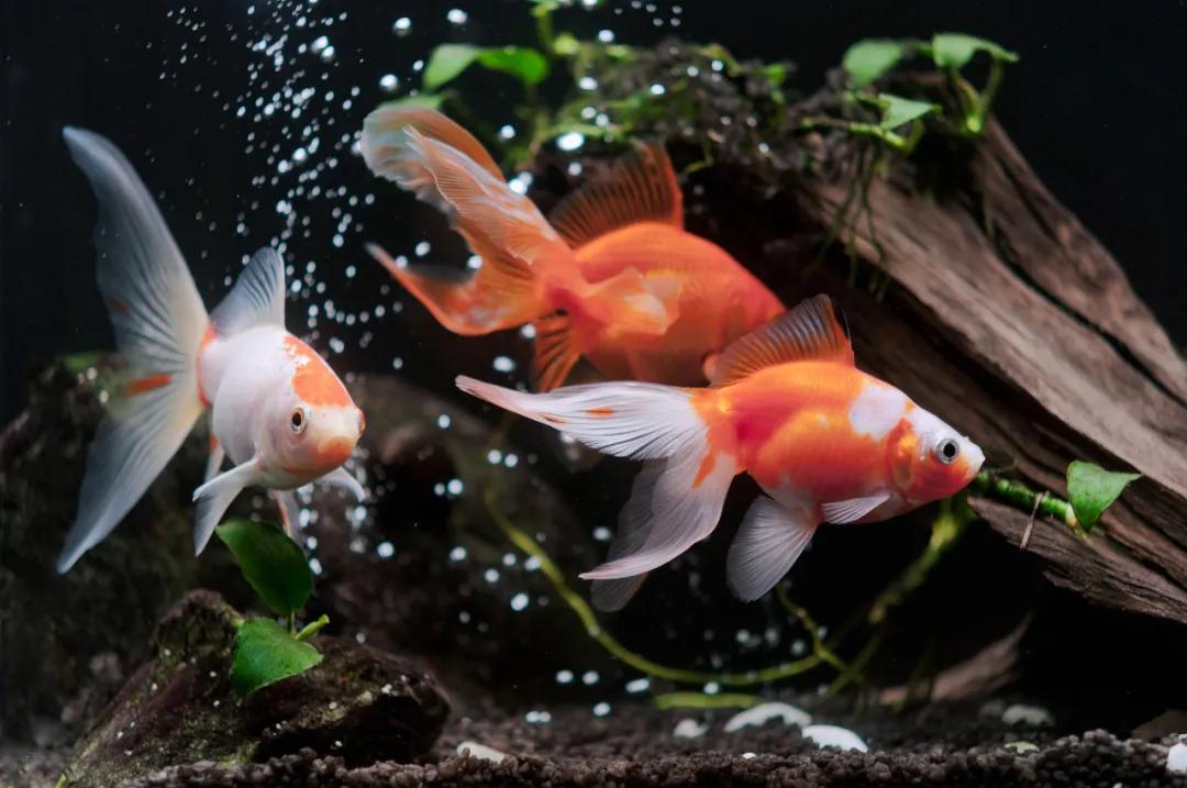 哪一个瞬间让你感觉快过年了,哪瞬间你觉得快过年了