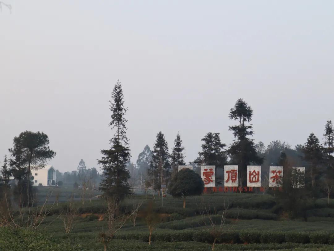 雅安上里古镇最好的民宿推荐,原地过年品味年味