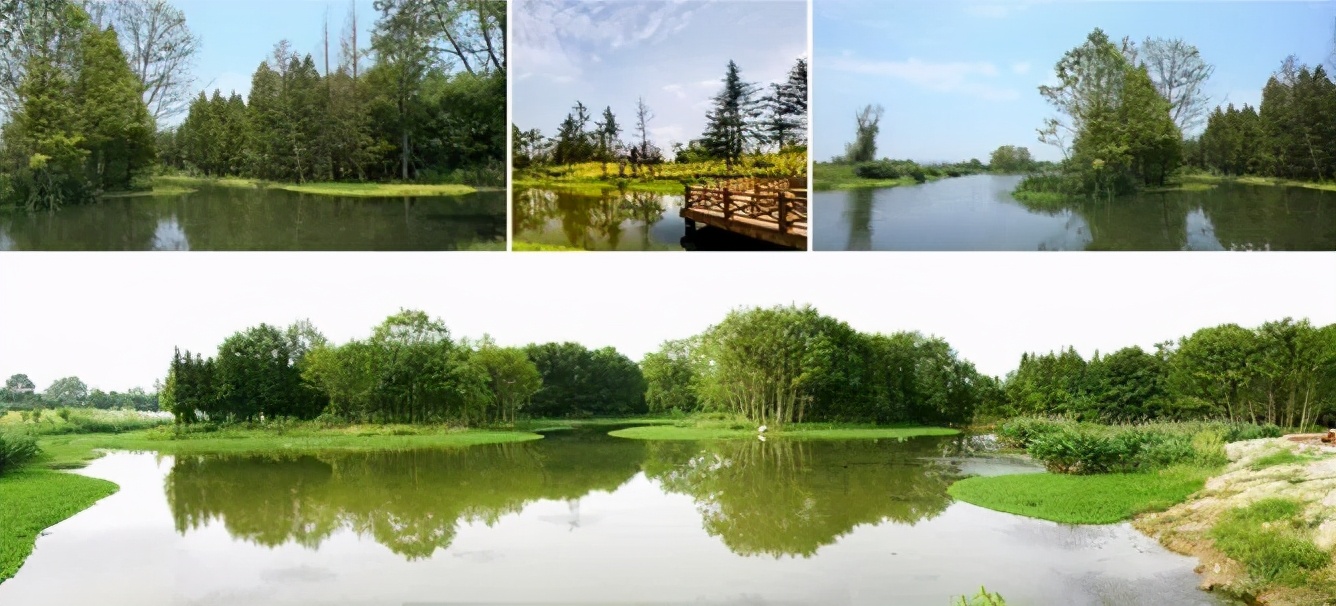 从贫困村到美丽乡村的华丽转身,崇州五星村国家示范乡村