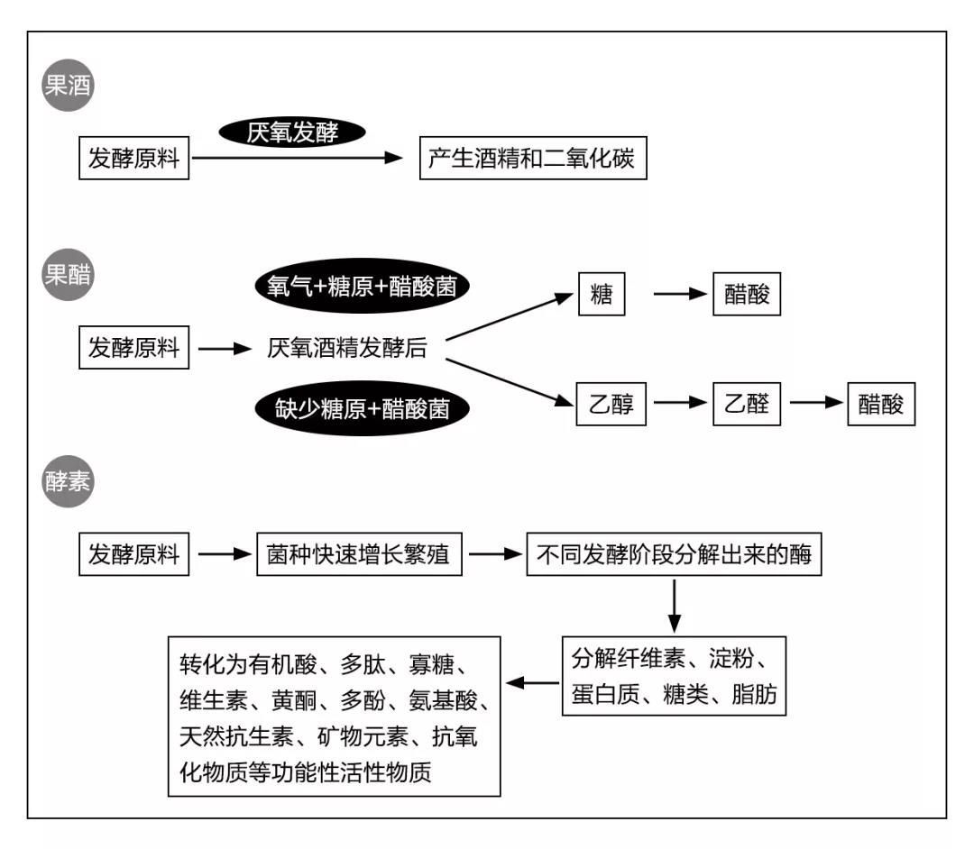 一月酒，二月醋，三月竟成酵素？