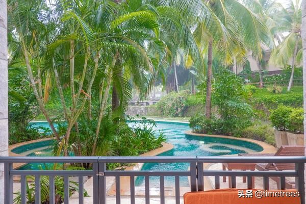 亚龙湾最值得一家人住的酒店,亚龙湾各酒店对比