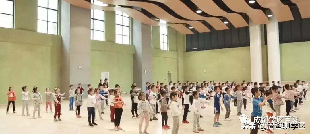 大源板块学校,大源片区最好的小学