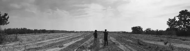 澶氳倝澶х浜屾湪,澶氳倝杈句汉浜屾湪