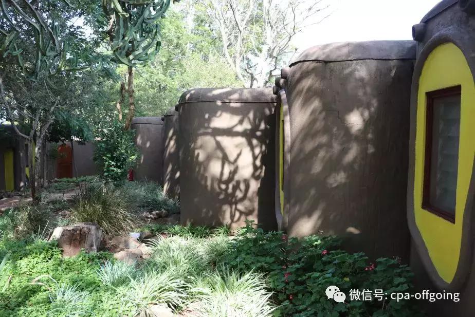 这个野奢的国度,欧美、日韩人都爱去,为何我们国家没人去?