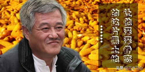 只养天鹅不养猪视频,只养母鹅不养公鹅可以吗