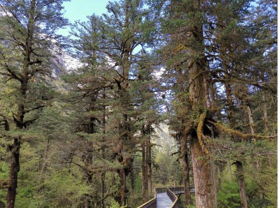 海螺沟燕子沟四日游,海螺沟燕子沟风景区