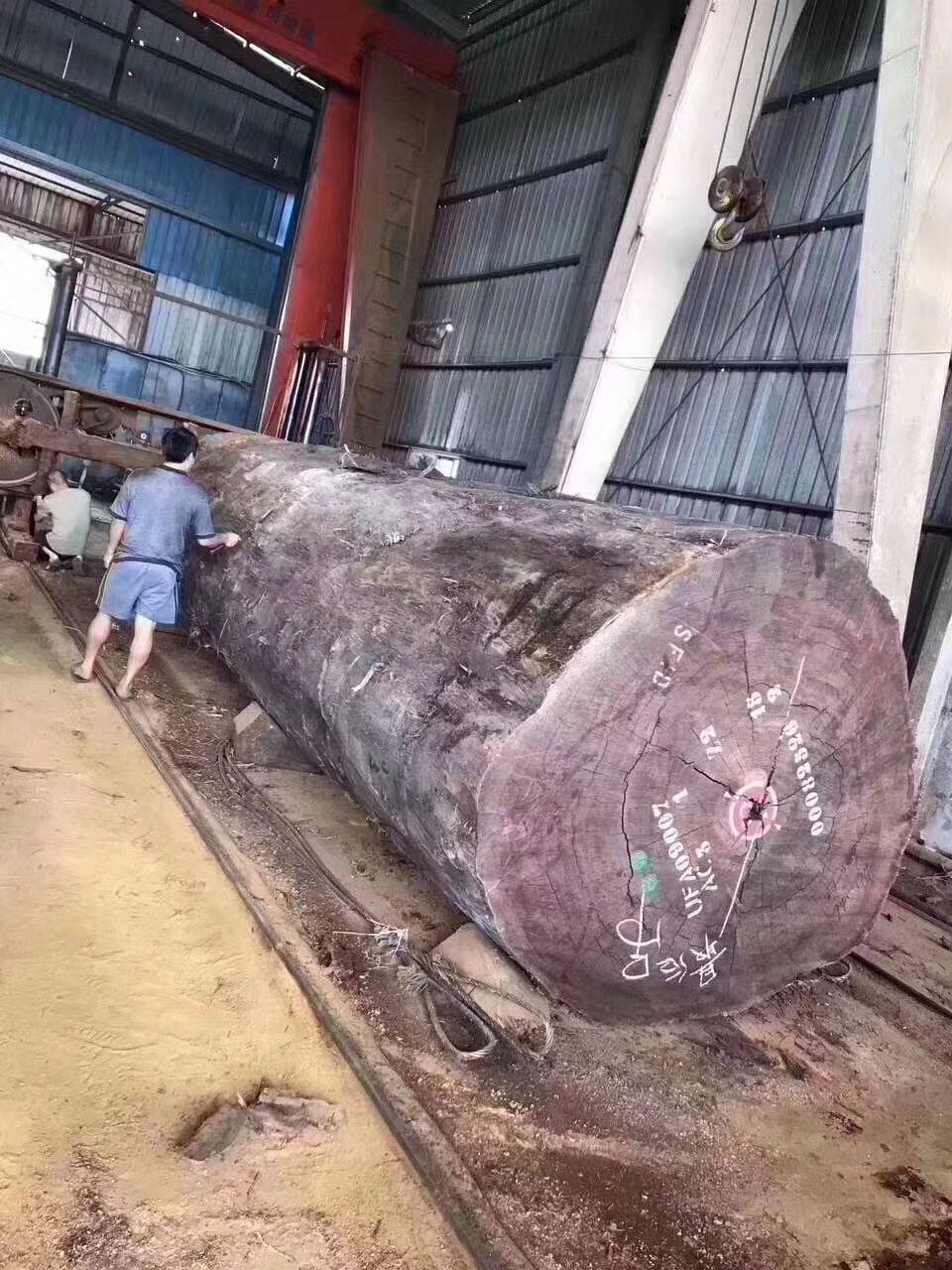 暗访东莞天价大板生产基地,原料全是称斤烂木头,富豪还排队来买