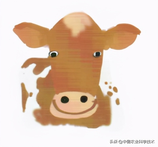 奶牛有什么特征和有趣之处,奶牛体质有什么特点