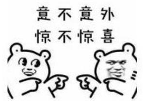 斗鱼哪个主播最赚钱,斗鱼直播平台打赏收入