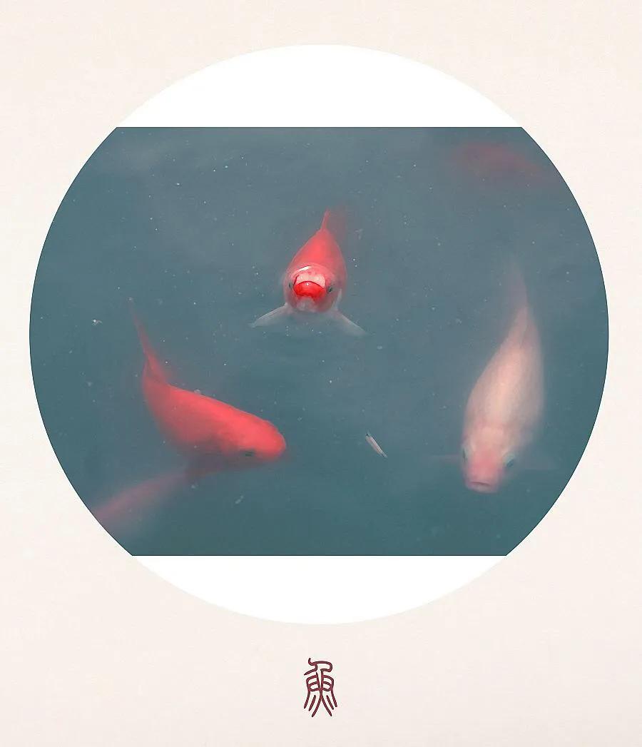 沉鱼落雁,沉鱼落雁歌曲完整版