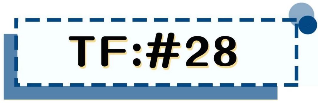 tf新色号哪个好看,tf新出色号粉管