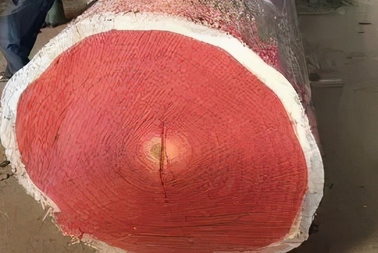 贪便宜买家具的结果,贪便宜买劣质家具害人害己