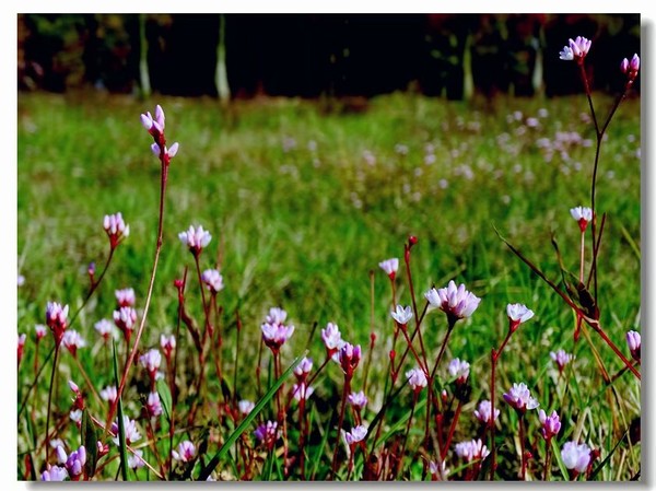 余姚四明湖开元山庄,余姚四明湖开元山庄自驾游