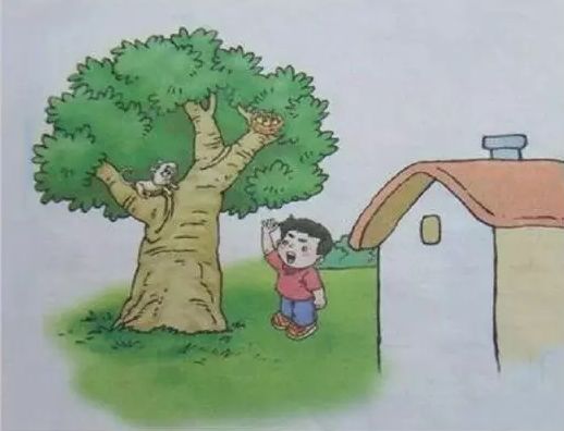 二年级看图写话大扫除200字怎么写,二年级看图写话拔河比赛作文200字