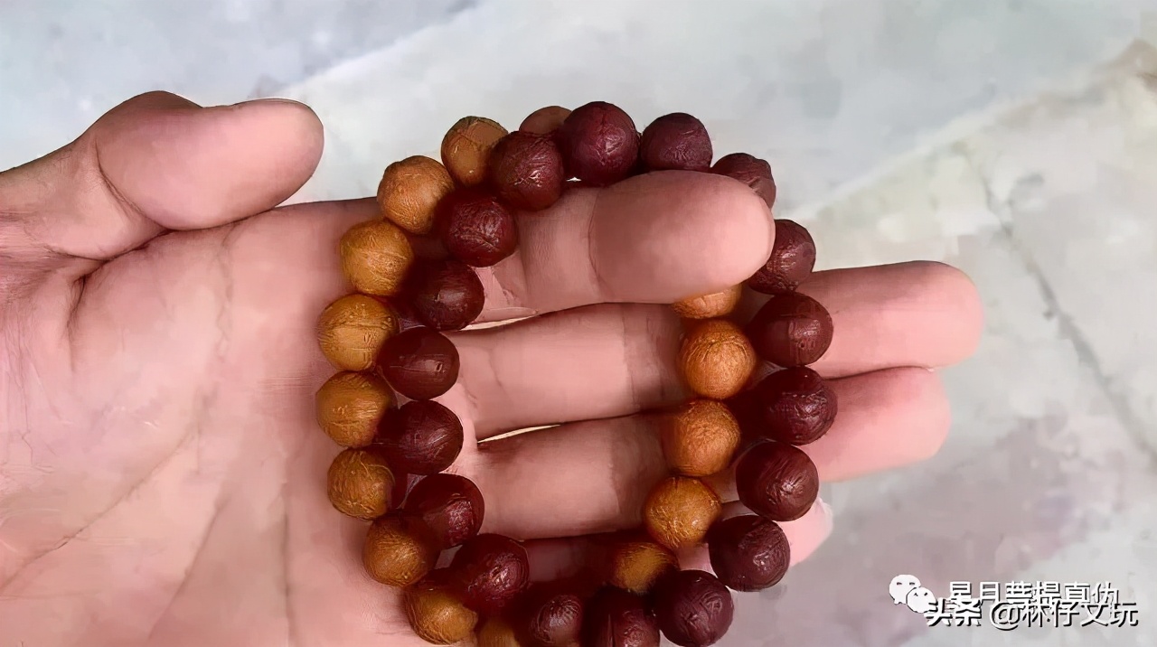 凤眼菩提视频教程,凤眼菩提介绍视频