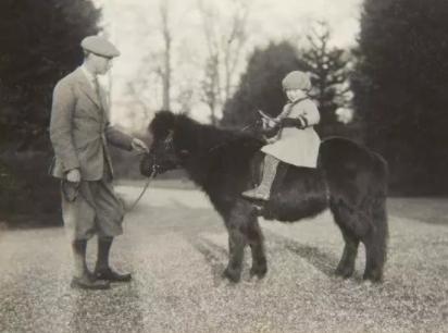 7岁夏洛特公主太像女王,夏洛特公主索要小马当礼物