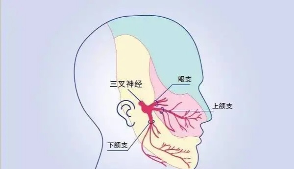 针道至简治疗腰疼,针灸针感越来越痛是经络通了吗
