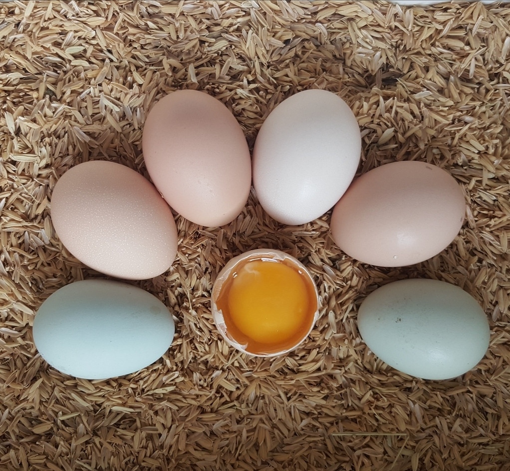 求人办事这些常识要知道,这些骗了你很久的假常识