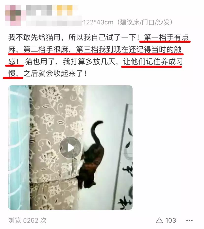 猫乱尿怎么办视频最火,猫乱尿怎么办有什么办法