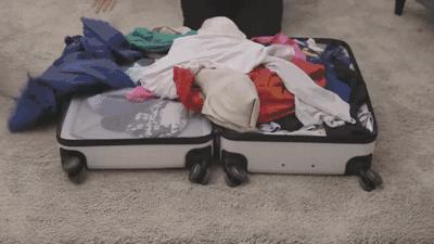 干湿分离旅行包100元左右,干湿分离旅行包