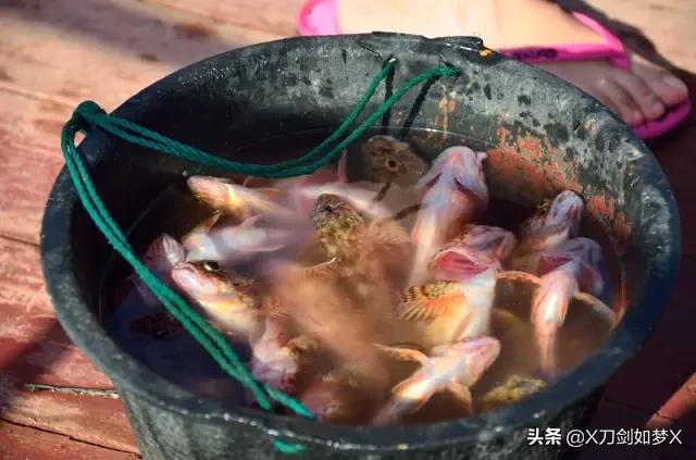 一位导游的枸杞岛之旅 (枸杞岛2021年原创游记攻略分享)