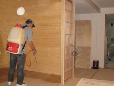 家庭白蚁防治哪里好,上门白蚁防治的有效方法