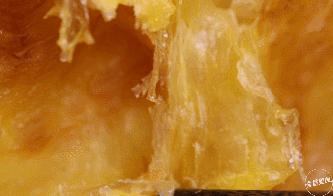 人气最旺的特色馆子,苍蝇馆子特色菜前十名