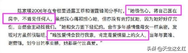 锋菲恋和锋芝恋真实情况,回顾张柏芝和谢霆锋的爱恨情仇