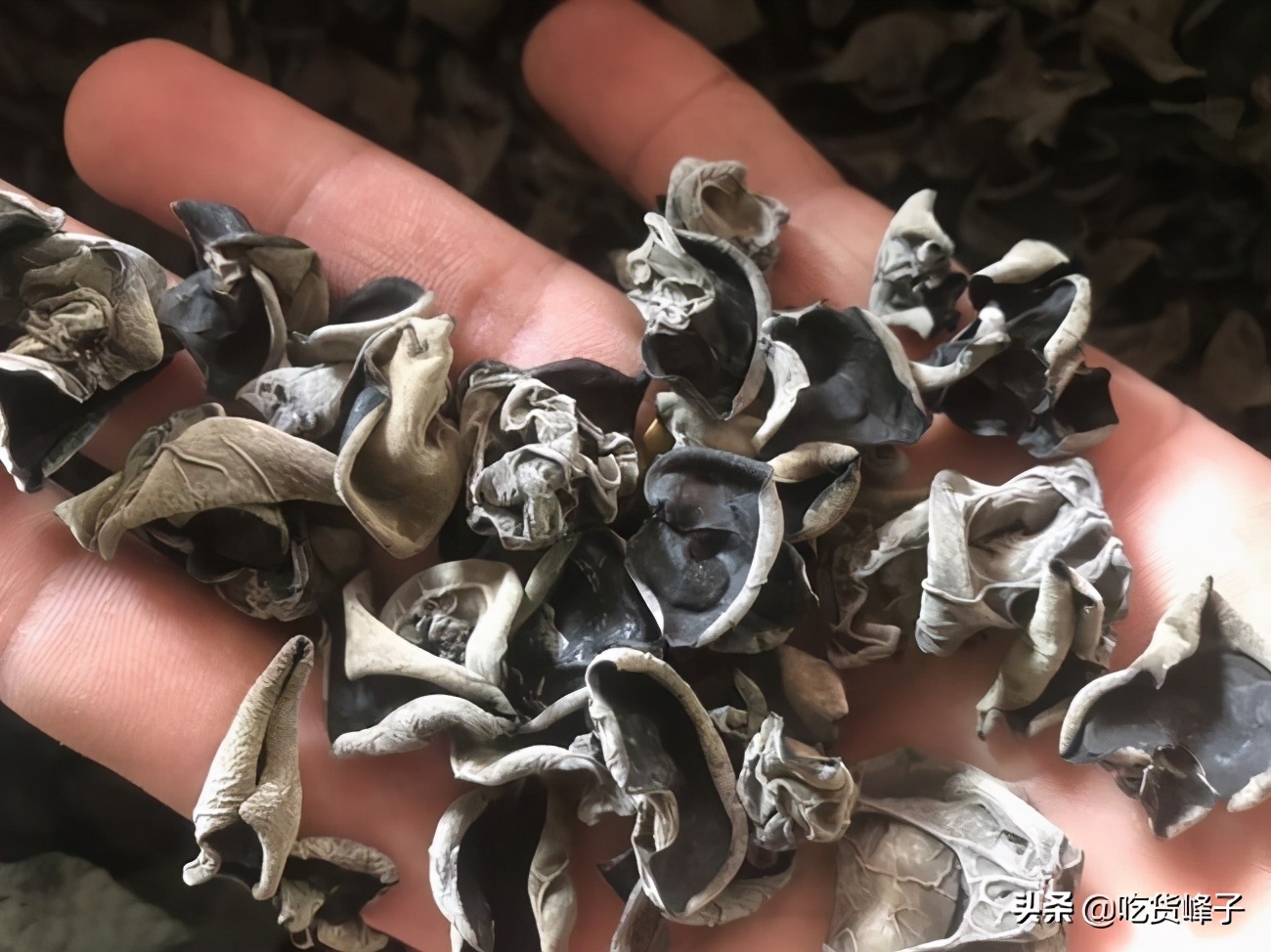 干黑木耳怎么选才能买到好的,买木耳是越黑越好吗