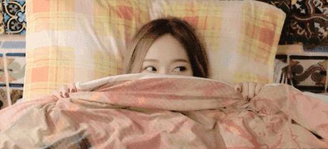 德绒纤维被子,德国德绒保暖被