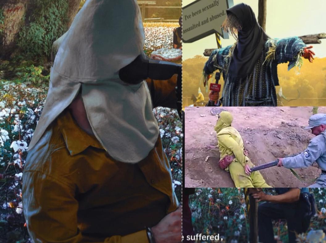 乌合麒麟事件起因,乌合麒麟血棉解析