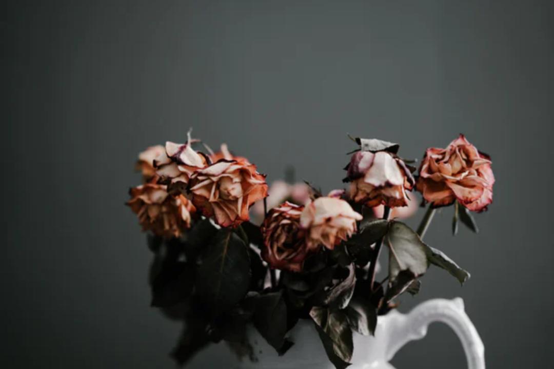 男子多次家暴恐吓前妻被判8个月,男子无视保护令家暴前妻获刑