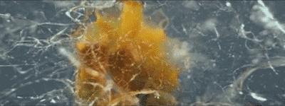 BANDě邦地美｜当鸡蛋碰上石头，关于硬度你知道多少？