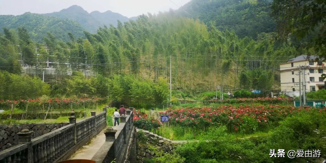 疫情后旅行新玩法,“州”游之衢州四天三夜