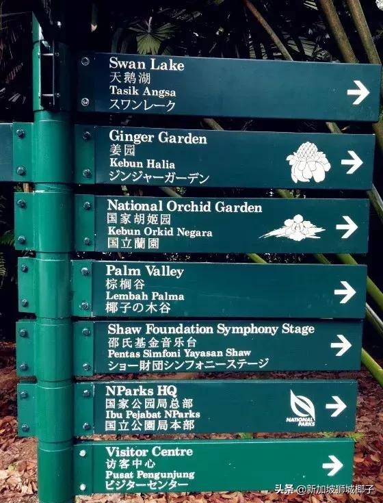 新加坡在国人眼里,外国人惊叹新加坡